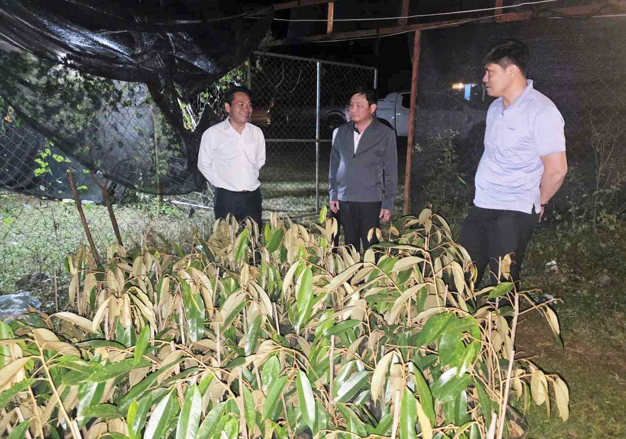 The working group of Lam Dong province is helping Champasak province develop agriculture towards high technology. Photo: Hoang Phuc