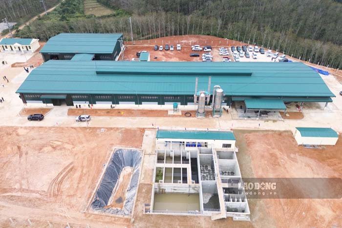 Dien Bien Rubber latex processing factory. Photo: Quang Dat