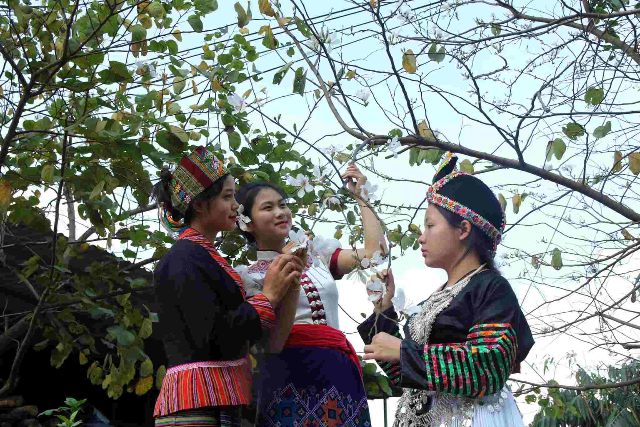 Thieu nu dan toc Mong noi mien Tay xu Nghe. Anh: Ngoc Anh