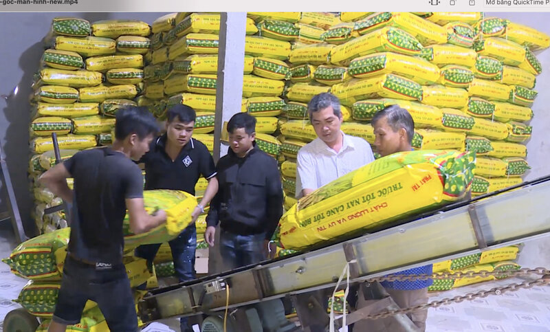 Vinh Long exports in 2025 will reach 3.66 billion USD, setting a record despite many challenges. Photo: Hoang Loc