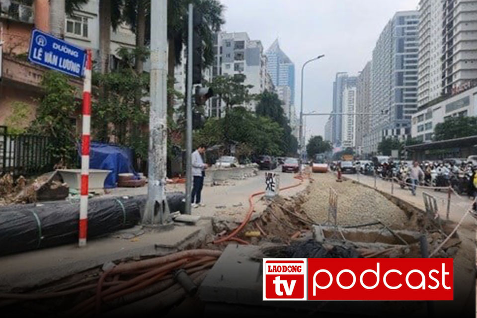 Morning news 23.12: Relocating 52 trees in Hanoi to serve the expansion of intersections to prevent congestion