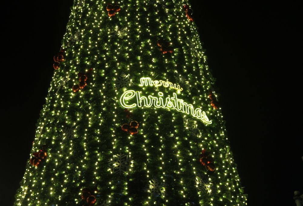 Hang nghin bong den led thap sang cay thong Noel. Anh: Thanh Huyen