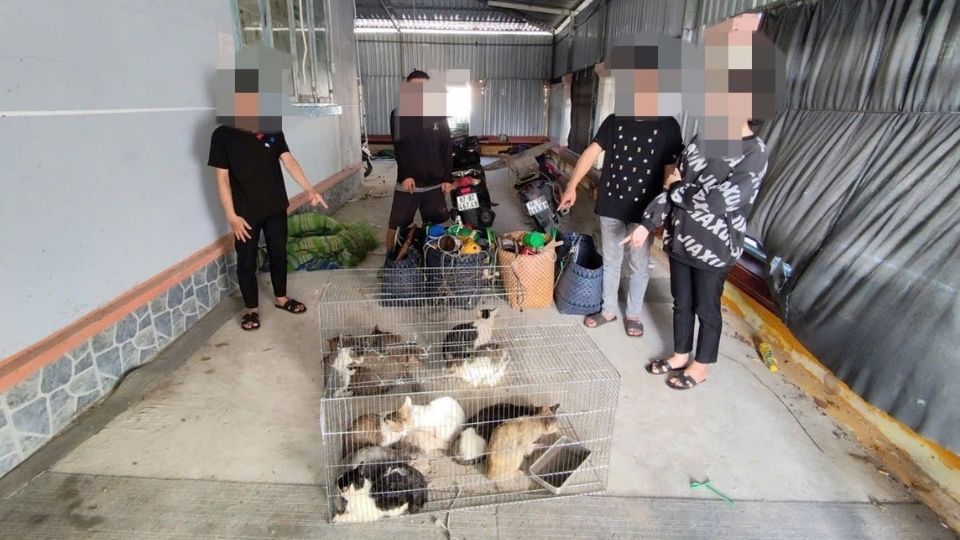 The thieves along with the evidence and the vehicle were confiscated by Quoi Thien Commune Police. Photo: Hoang Loc