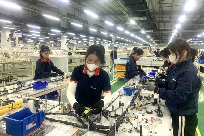 Nhiều doanh nghiệp Nghệ An dự kiến thưởng Tết Dương lịch 1 triệu đồng/người