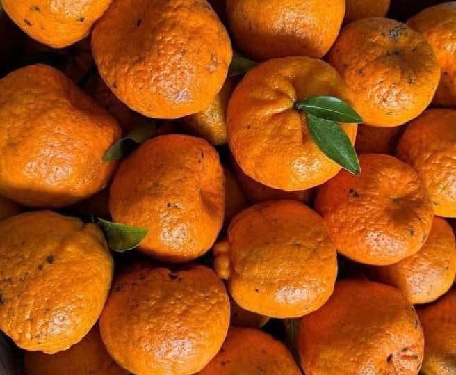 Esta es una fruta que puede ayudar a aliviar el alcohol y la cerveza. Foto: Kieu Vu