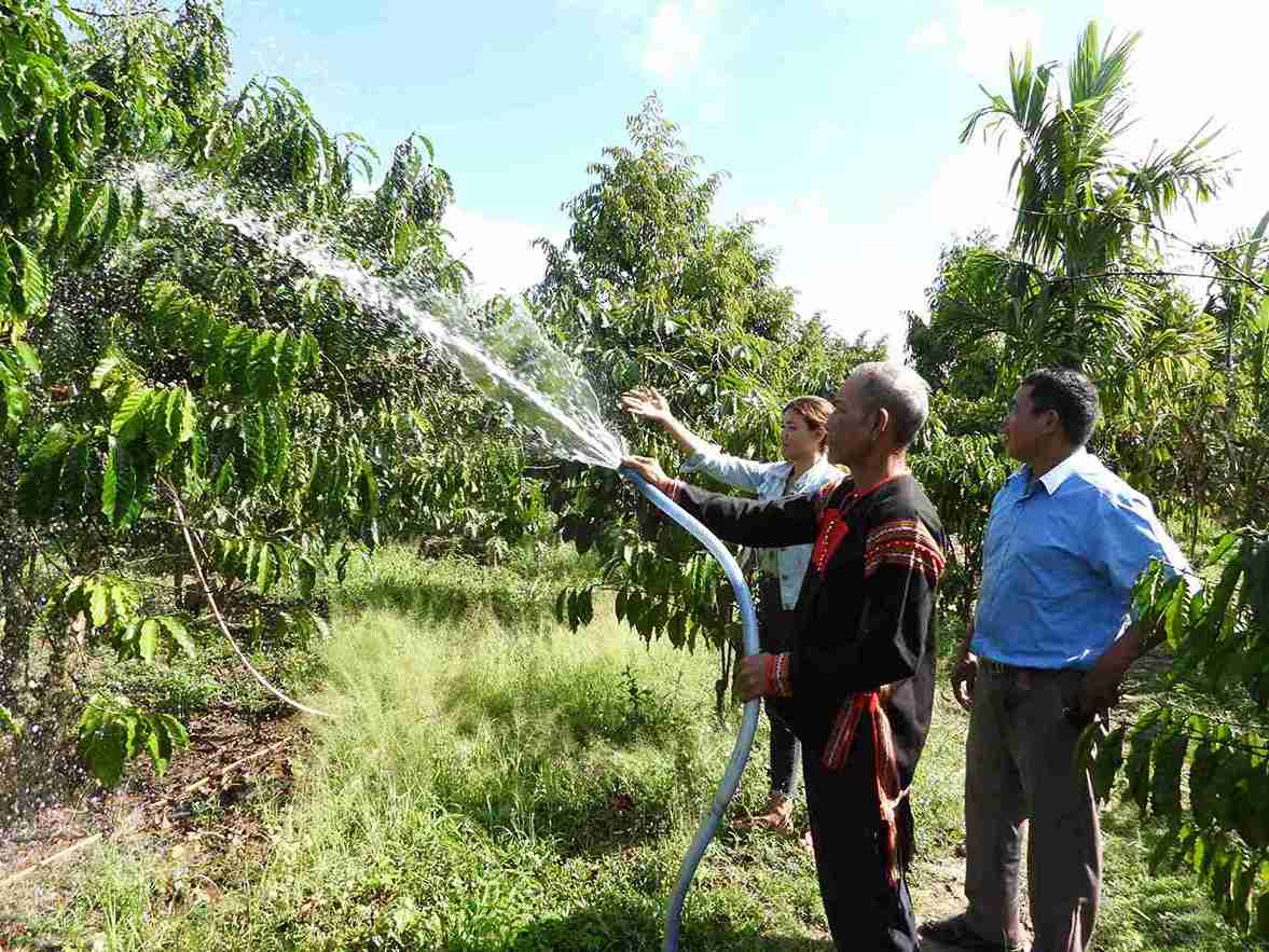Prestigious people in Krong No commune instruct people on how to take care of coffee trees. Photo: Bao Lam