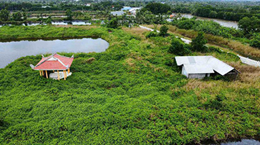 El sitio historico nacional de la Zona Industrial Hai Yen - Binh Hung Ca Mau despues de ser reconocido en 2000 hasta ahora casi no ha recibido ninguna inversion. Foto: Nhat Ho
