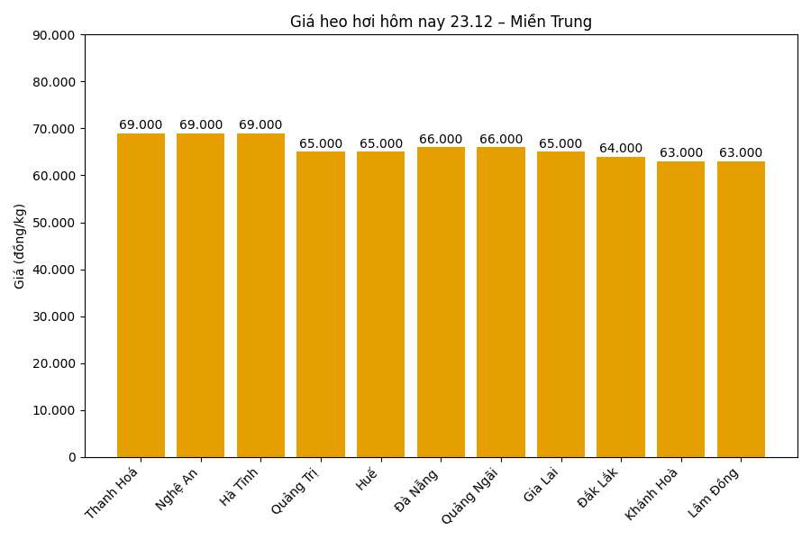 Gia heo hoi hom nay 23.12 tai khu vuc mien Bac. Do hoa: Thuy Linh