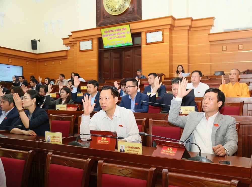 Cac dai bieu HDND tinh bieu quyet thong qua Nghi quyet tai Ky hop. Anh: Cong TTDT tinh Hung Yen