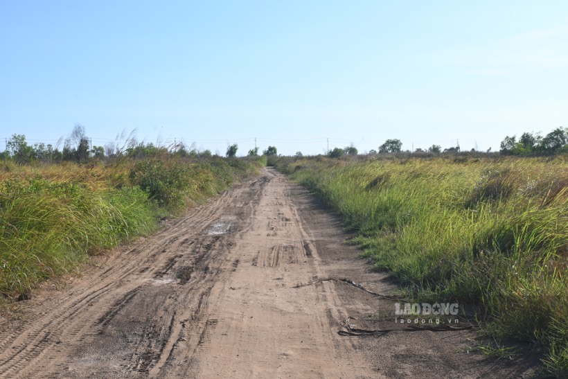 Land for the Soai Rap Petroleum Service Industrial Park Project (Dong Thap province). Photo: Thanh Nhan
