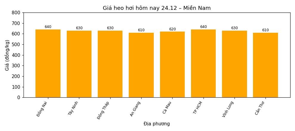 Gia heo hoi hom nay 24.12 tai khu vuc mien Nam. Do hoa: Thuy Linh