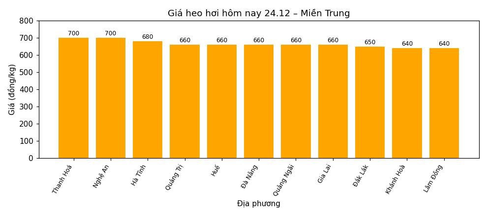 Gia heo hoi hom nay 24.12 tai khu vuc mien Bac. Do hoa: Thuy Linh