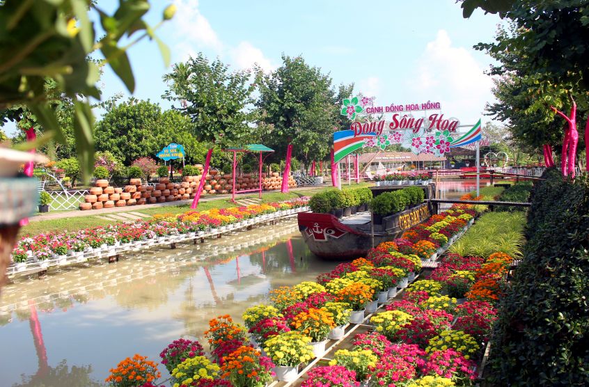 Dong song hoa tai khu du lich Canh dong hoa hong san sang dua moi du khach bong benh tren dong chay cua hoa thom, kieng dep. Anh: Luc Tung