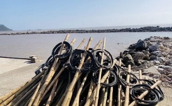 Hơn 100 cọc tre tập kết để chuẩn bị cắm cọc nuôi hàu trái phép. Ảnh: Phường Đồ Sơn, Hải Phòng