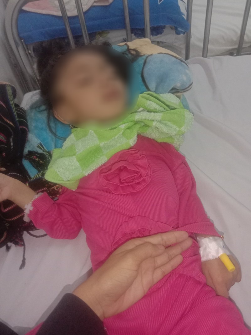 Hien be 4 tuoi nhung chi nang von ven 6kg. Anh: Nhan vat cung cap