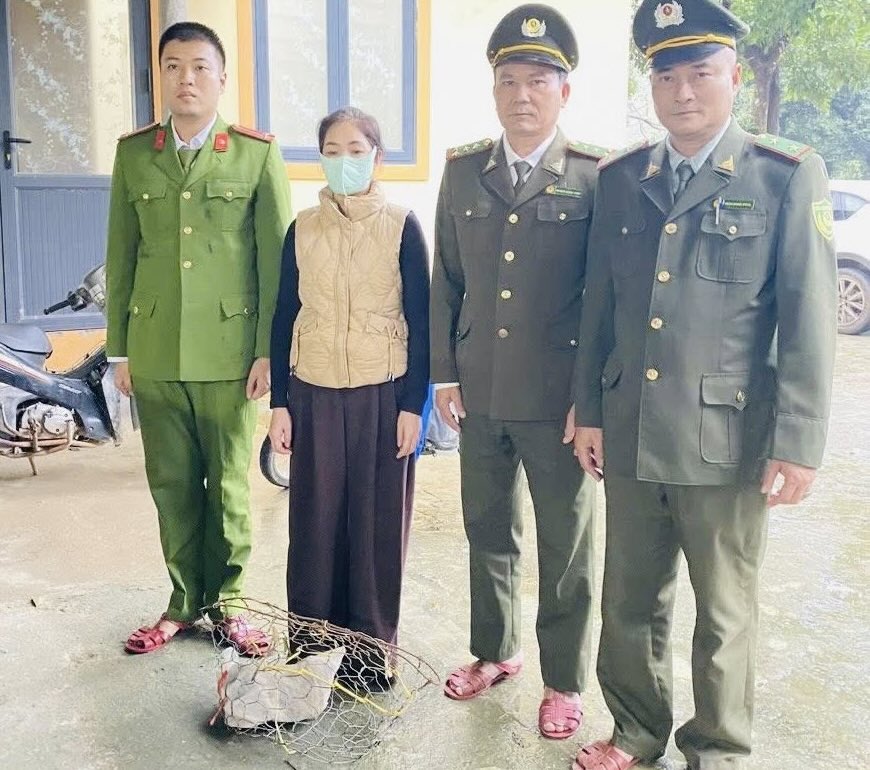 Ms. V illegally transported rare incense sticks. Photo: Truong Son Commune Police