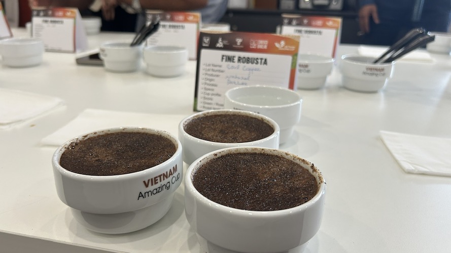 Dak Lak Robusta specialty coffee is exported to the Korean market. Photo: Phan Tuan