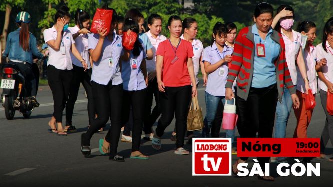 사이공 핫 뉴스: 호치민시의 많은 노동자들이 회사가 곧 운영을 중단할까 봐 걱정하고 있습니다