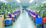 Nghe An enterprises give the highest New Year bonus of 40 million VND