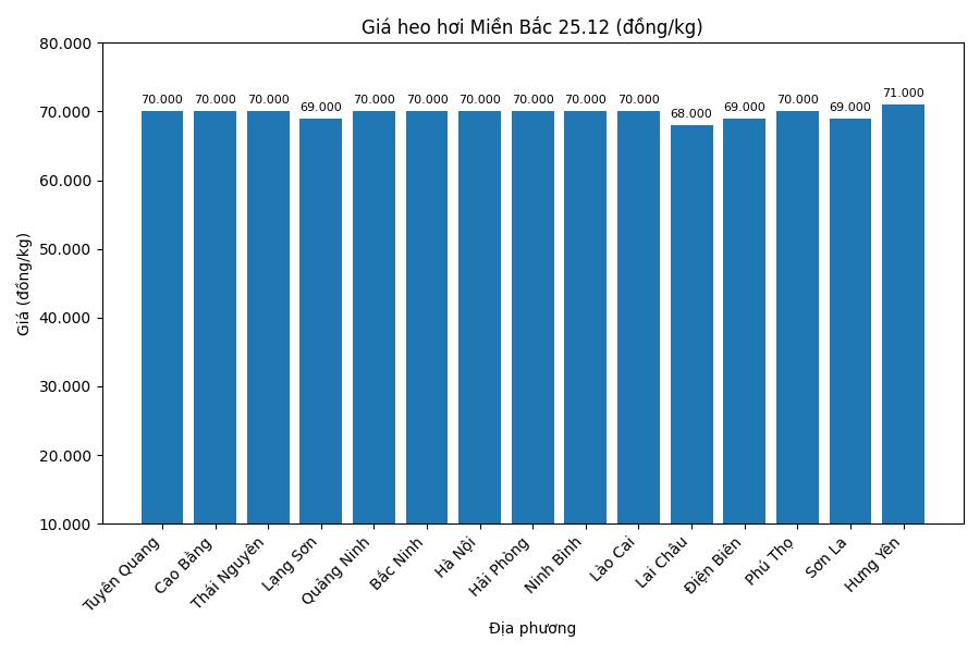 Gia heo hoi hom nay 25.12 tai khu vuc mien Bac. Do hoa: Thuy Linh