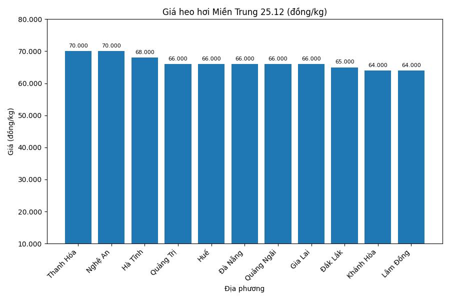 Gia heo hoi hom nay 25.12 tai khu vuc mien Trung. Do hoa: Thuy Linh