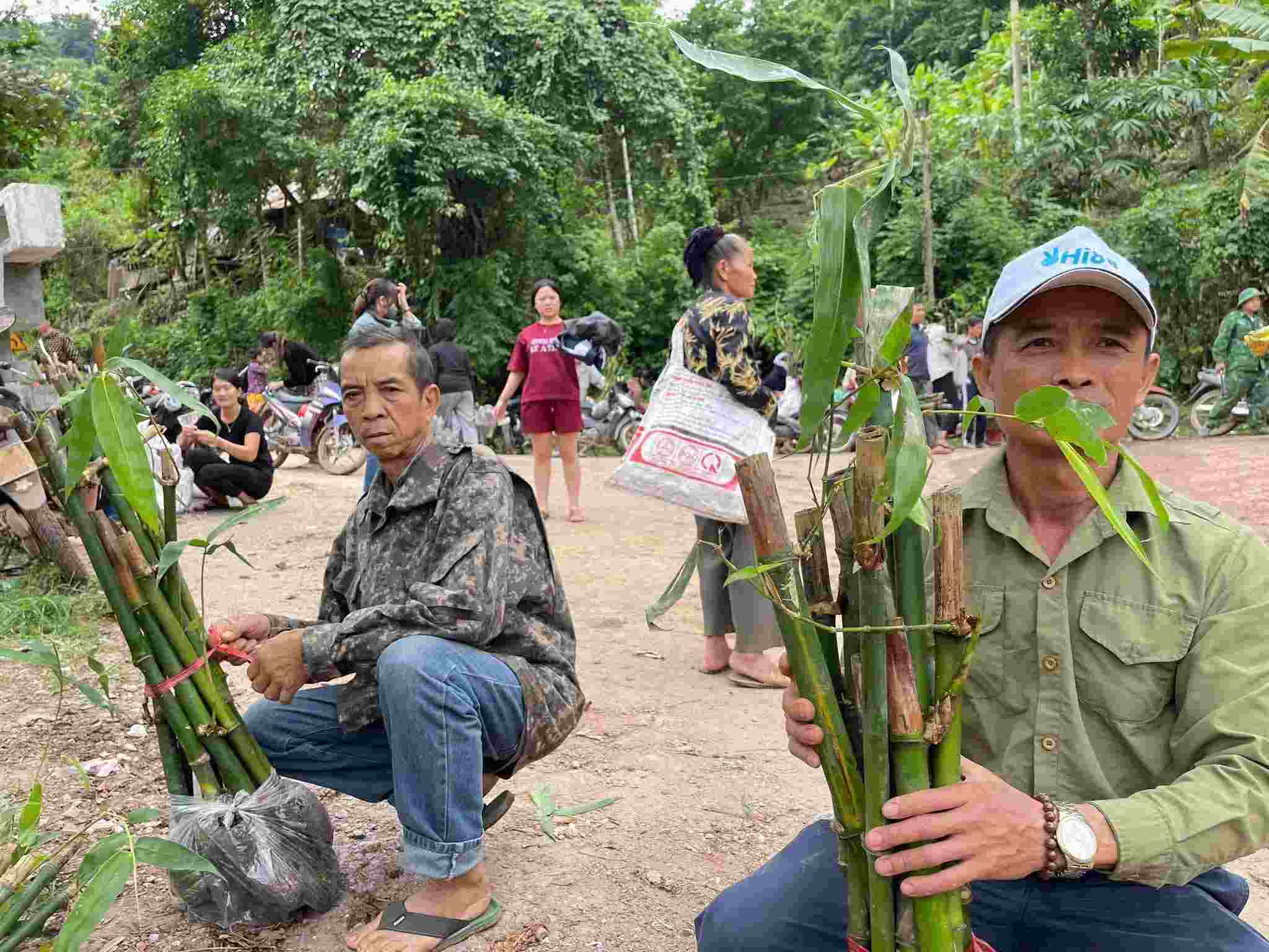 Nguoi dan nhan cay giong tre de trong ven tuyen bien gioi, gop phan xay dung “Luy tre bien cuong”. Anh: Ngoc Anh