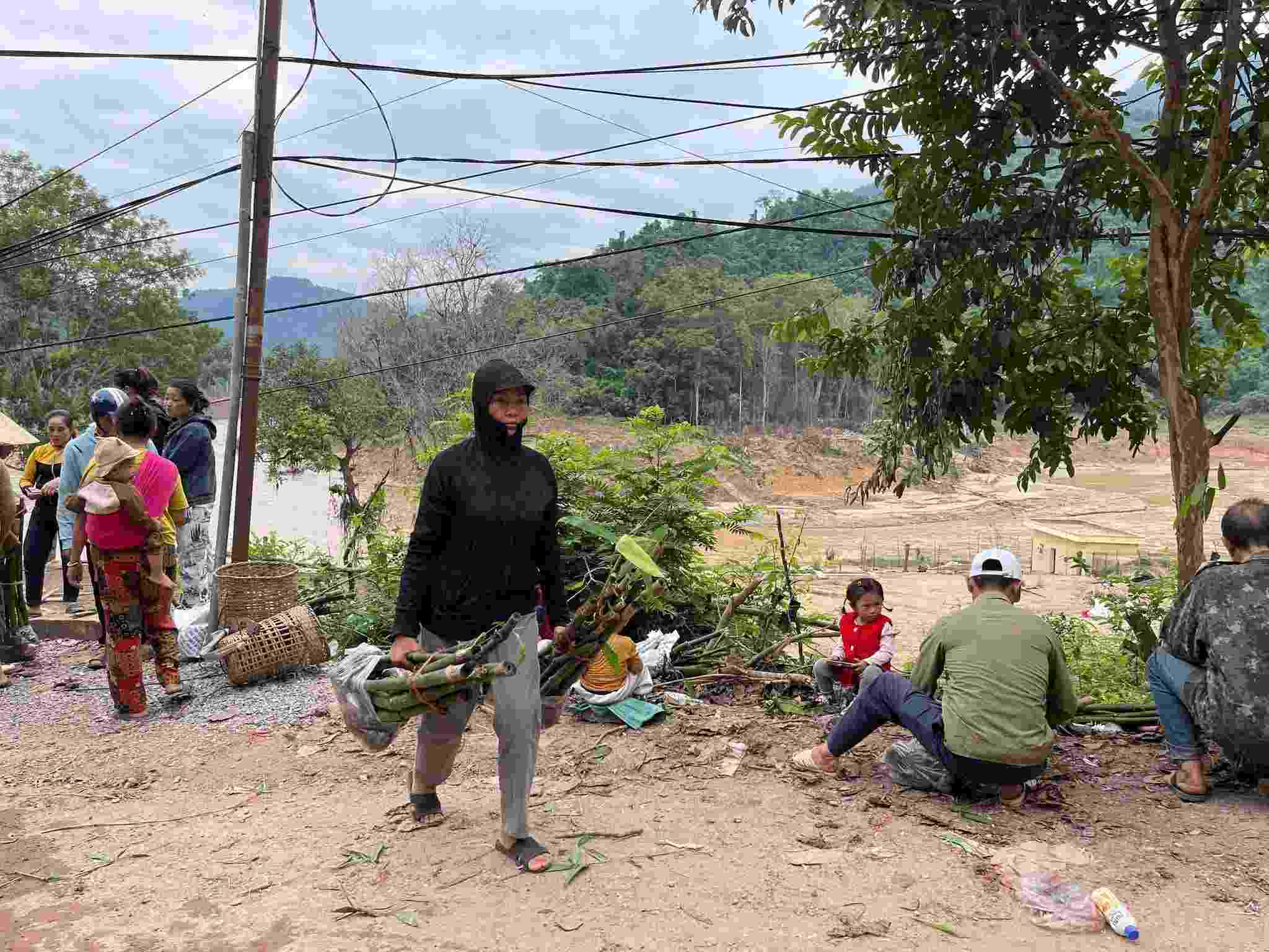 Nguoi dan xa My Ly mang cay giong tre ve ban de trong, phu xanh khu vuc de sat lo. Anh: Ngoc Anh