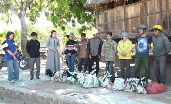 Sinh ke mang theo nhieu hy vong cuoc song am no. Anh: Phong Nha 