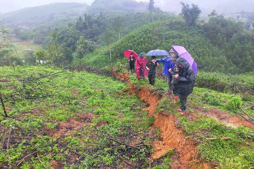 Vet nut va sut kha lon. Anh: Duc Tuan.