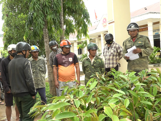 Sau rieng, mac ca, giong cay dang duoc nguoi dan ua chuong dau tu, cham soc tren vung dat tiem nang. Anh: Ngoc Linh  