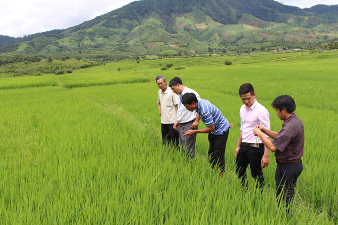 Can bo xa khuyen khich, huong dan nguoi dan don dien tich thua, xay dung canh dong mau lon de tang nang suat, san luong. Anh: Ngoc Linh 