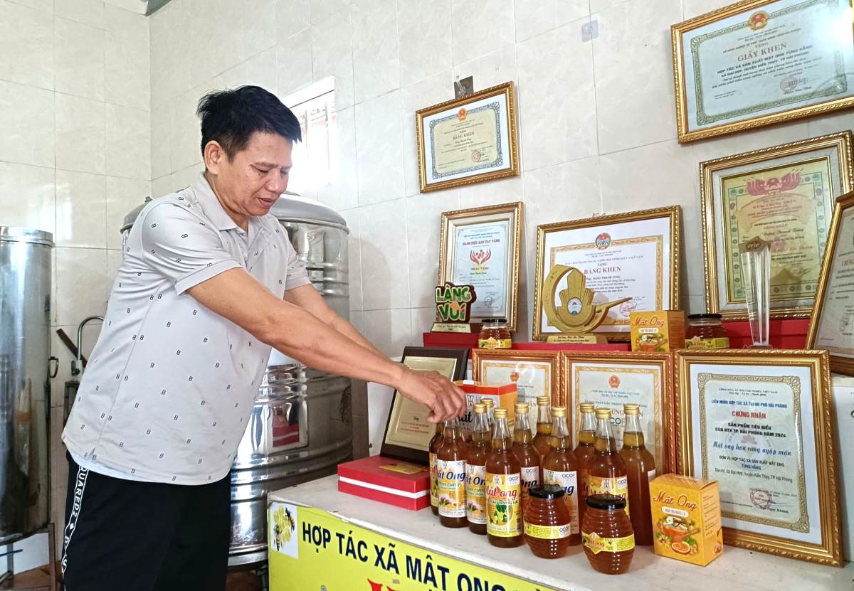 Cac san pham mat ong hoa rung, hoa tao cua Hop tac xa Tung Hang. Ảnh: Mai Dung