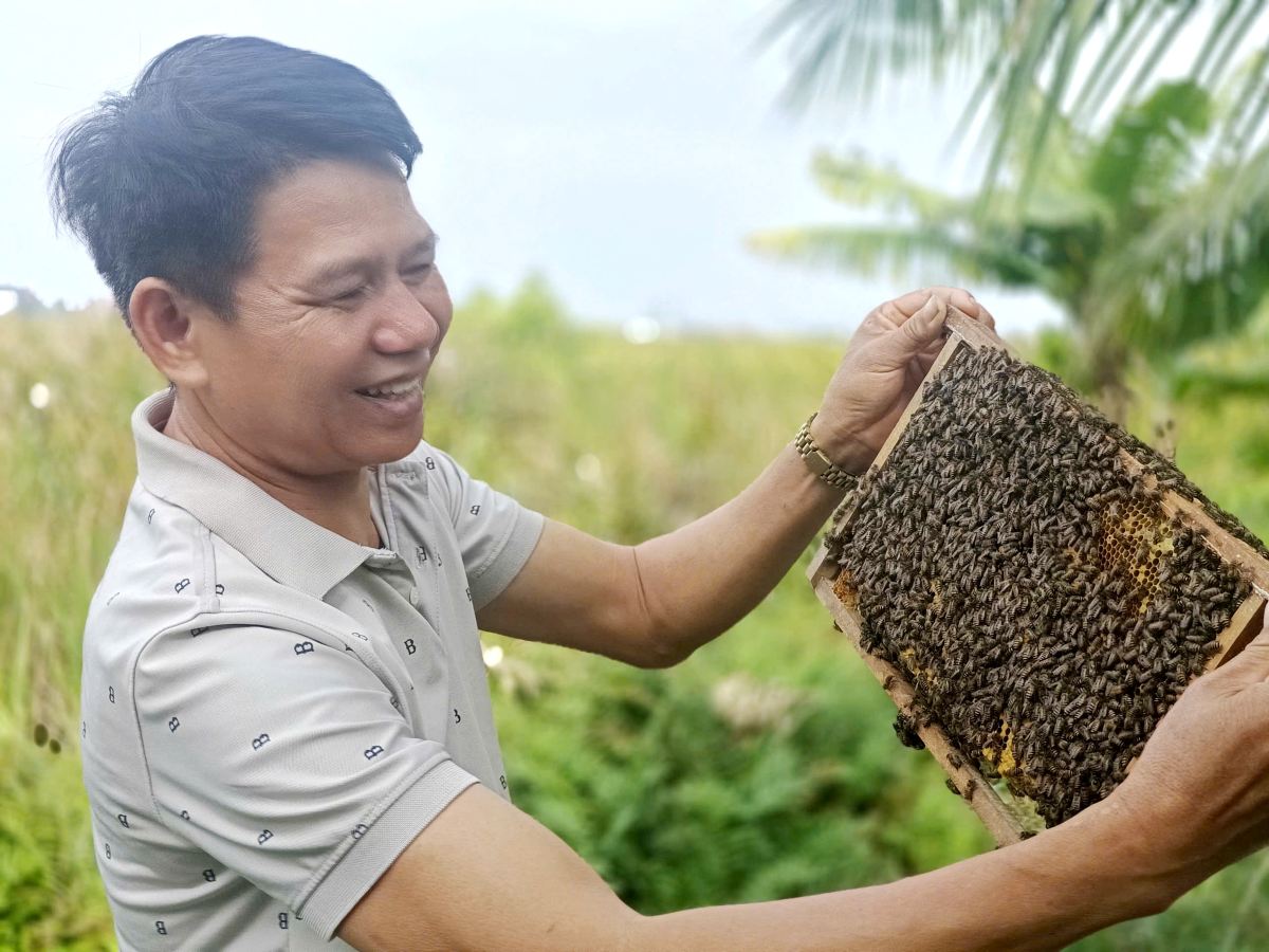 Ong Tung phan khoi gioi thieu dan ong mat, mang lai gia tri kinh te cao cua gia dinh. Ảnh: Mai Dung