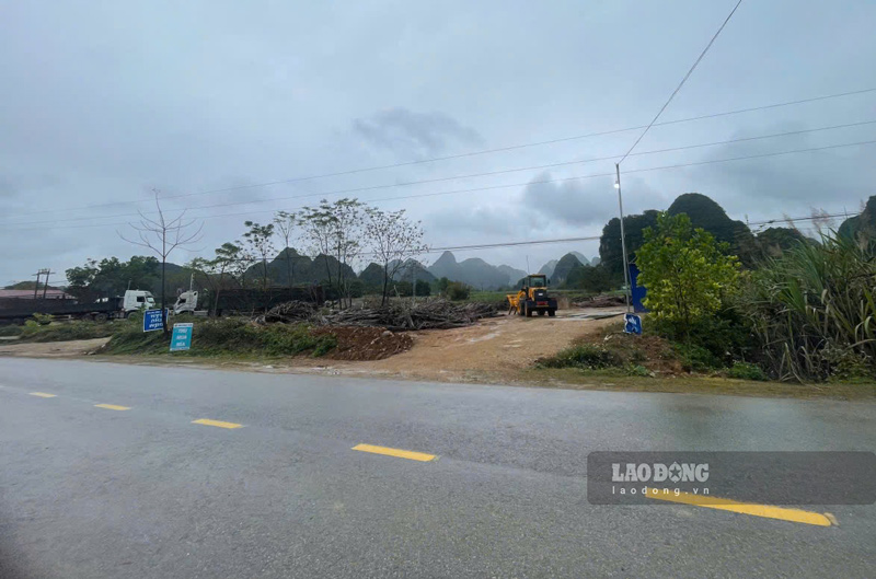 Hàng chục trạm cân thu mua mía tại Cao Bằng hoạt động trên đất nông nghiệp. Ảnh: Duy Dũng