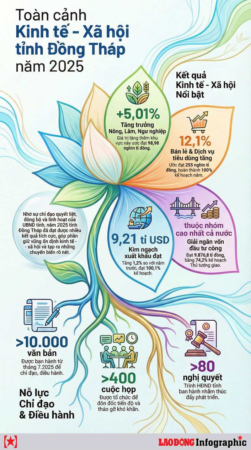 Toan canh kinh te - xa hoi tinh Dong Thap nam 2025. (Nguon: UBND tinh Dong Thap, Do hoa: Dat Phan)