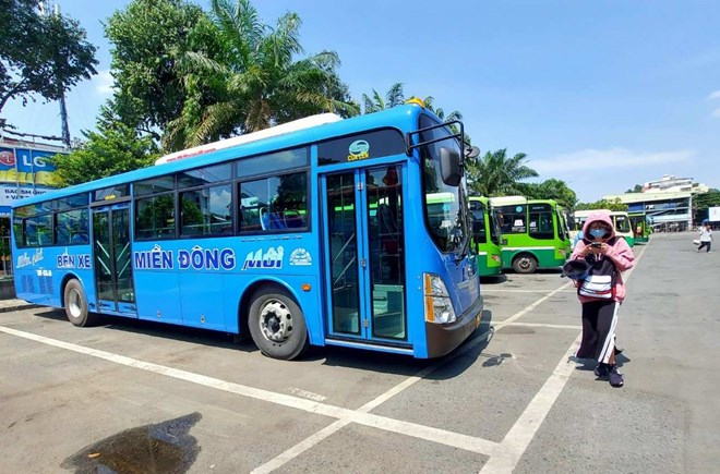 Ho Chi Minh City currently has more than 300 CNG buses operating on subsidized routes. Photo: Minh Quan