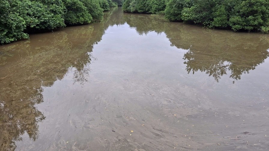 He thong song dam day vet dau loang. Anh: Vien Nguyen