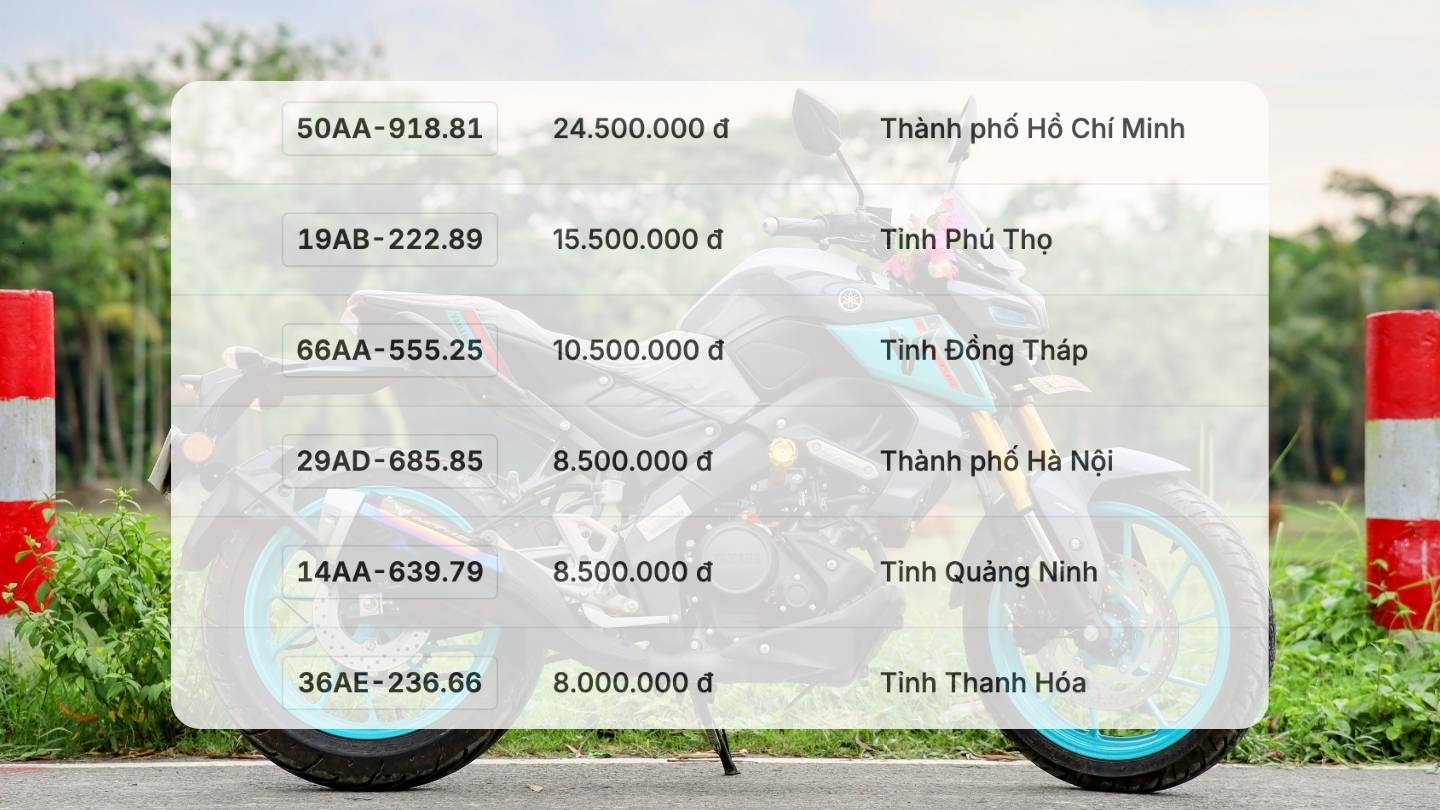 Beautiful motorcycle license plates plummeted in price in the auction on December 25