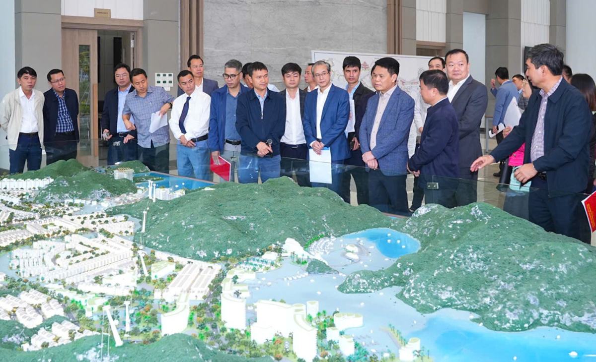 Chu tich UBND TP Hai Phong kiem tra Du an dau tu Khu do thi du lich Cai Gia (Cat Ba Amatina). Ảnh: Dam Thanh