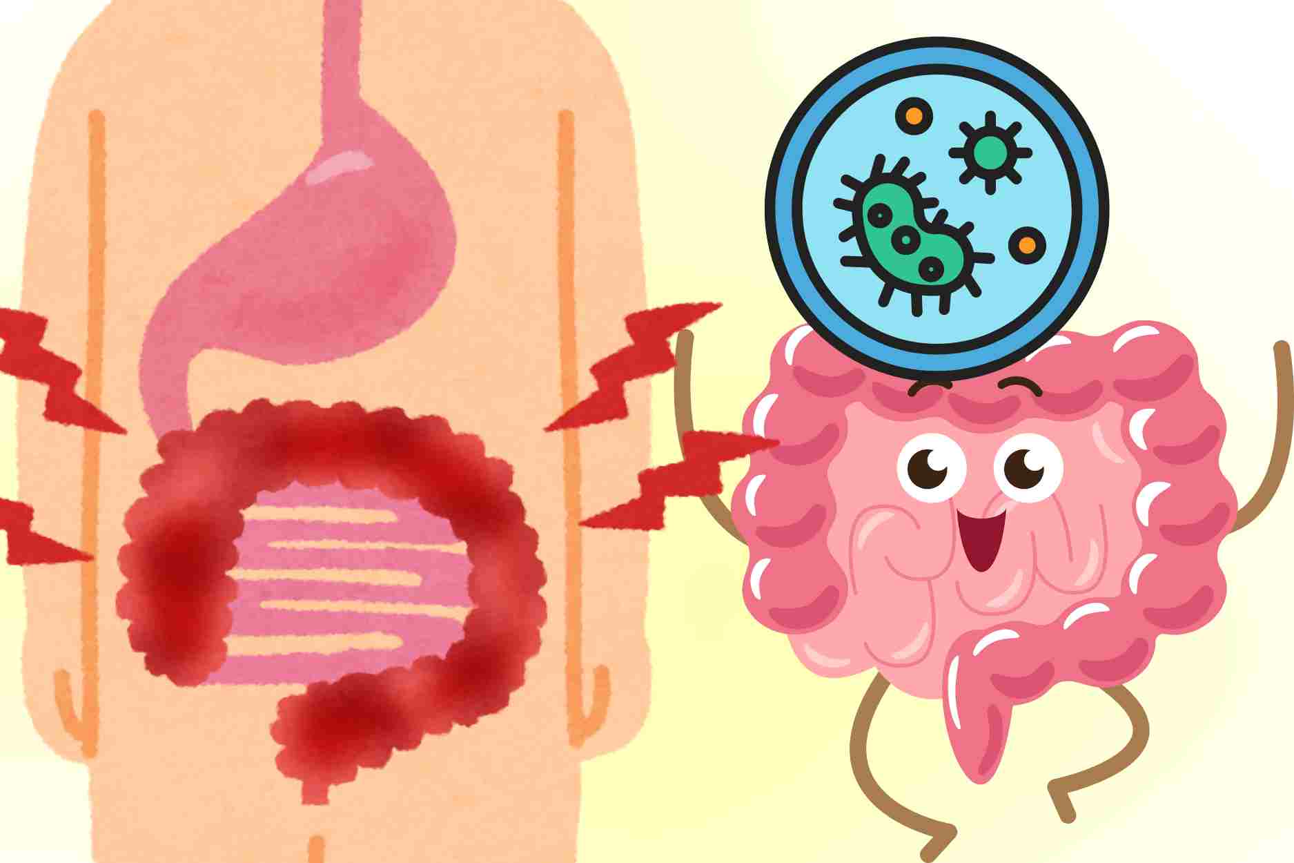 5 small tips to help stimulate natural intestinal motility