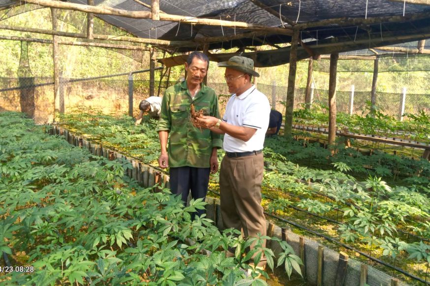 The journey of sowing Ngoc Linh ginseng seeds on Sam Ta peak. Photo: Truong Son