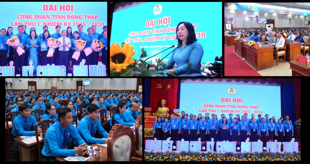 Dong Thap Trade Union determined to implement digital transformation breakthrough