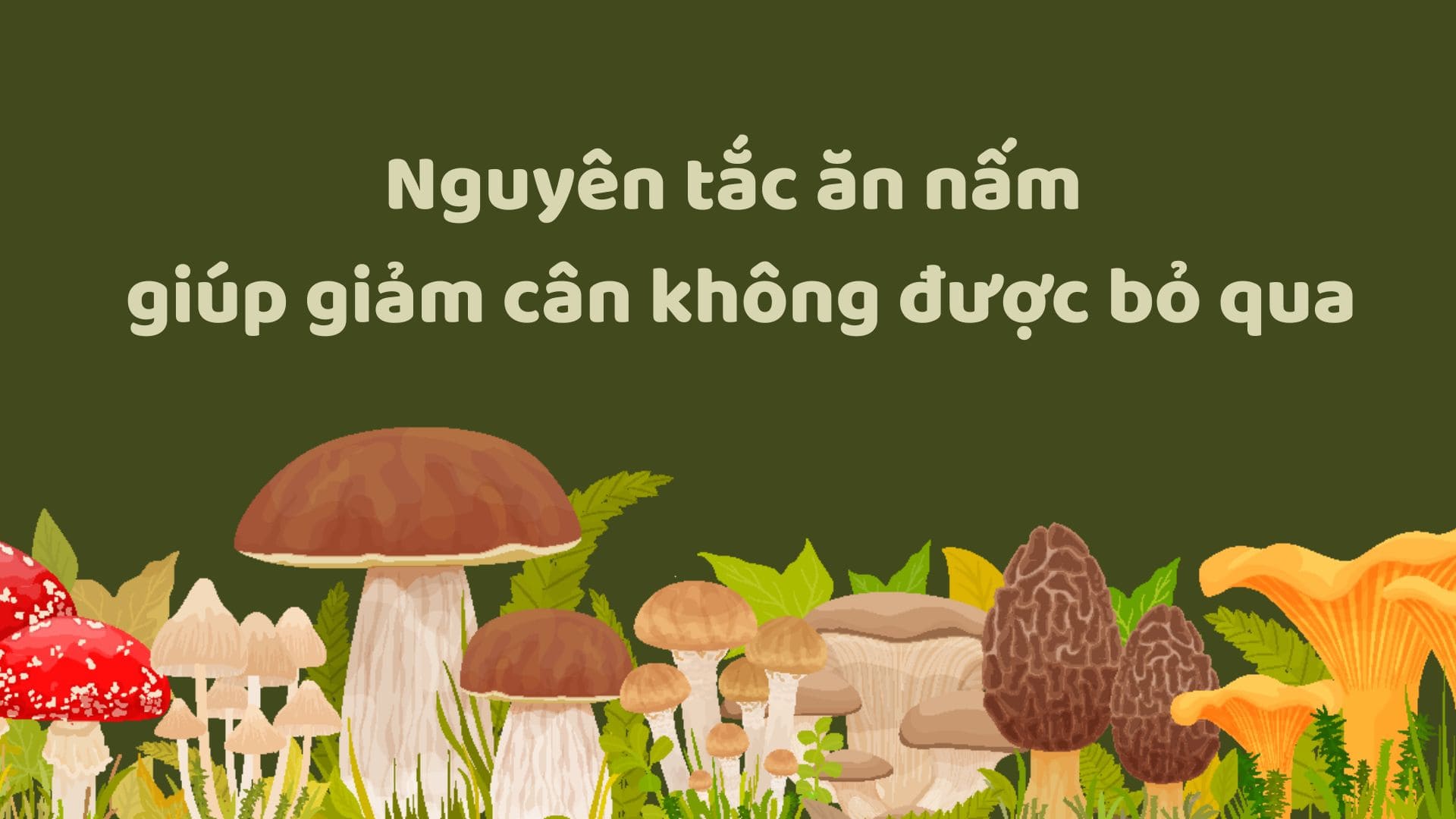 Principles of eating mushrooms to help lose weight that cannot be ignored