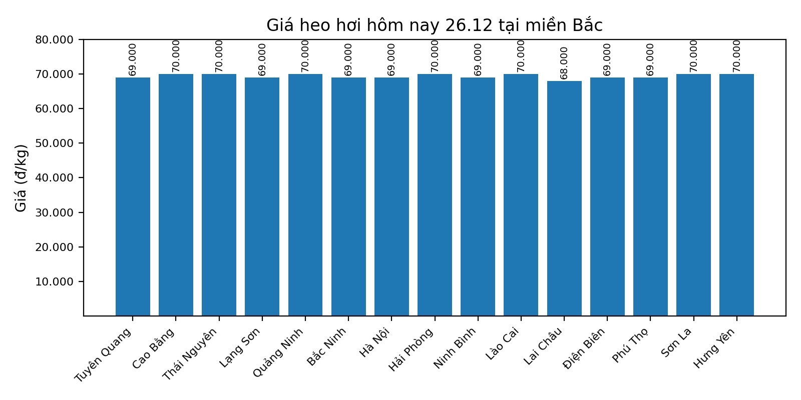 Gia heo hoi hom nay 26.12 tai khu vuc mien Bac. Do hoa: Thuy Linh