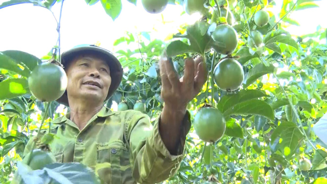 Thanks to the new rural construction program, people transport agricultural products conveniently. Photo: Hoang Long
