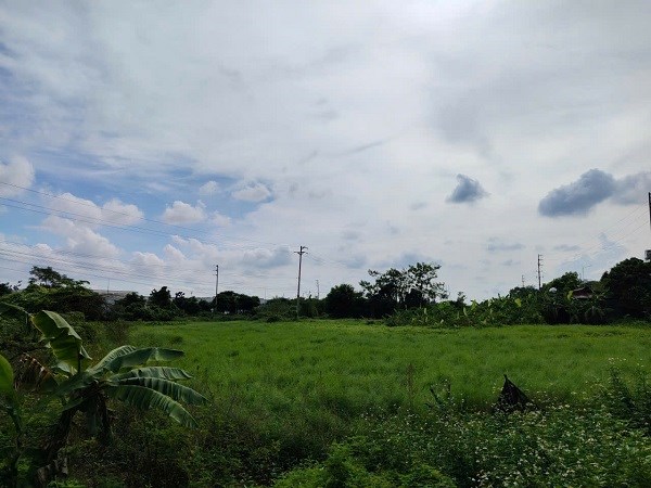Muchas personas se preguntan sobre las regulaciones para determinar el tipo de tierra al recuperar la tierra. Foto: Xuyen Dong