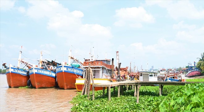 Đồng Tháp đề xuất hỗ trợ chuyển đổi nghề, giải bản tàu cá