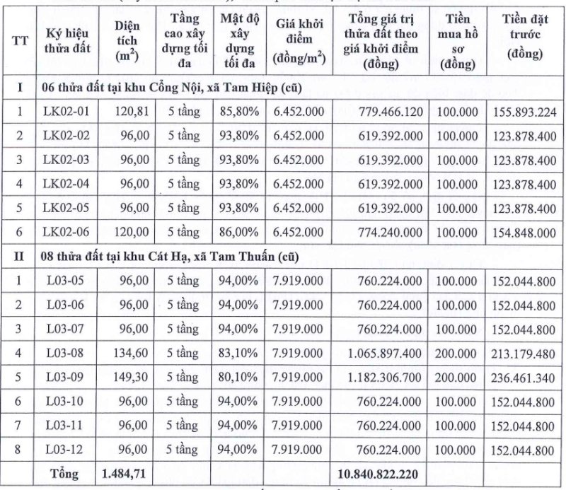 Thong tin phien dau gia 14 thua dat tai xa Hat Mon, TP Ha Noi. Anh: Trung tam Dich vu dau gia tai san