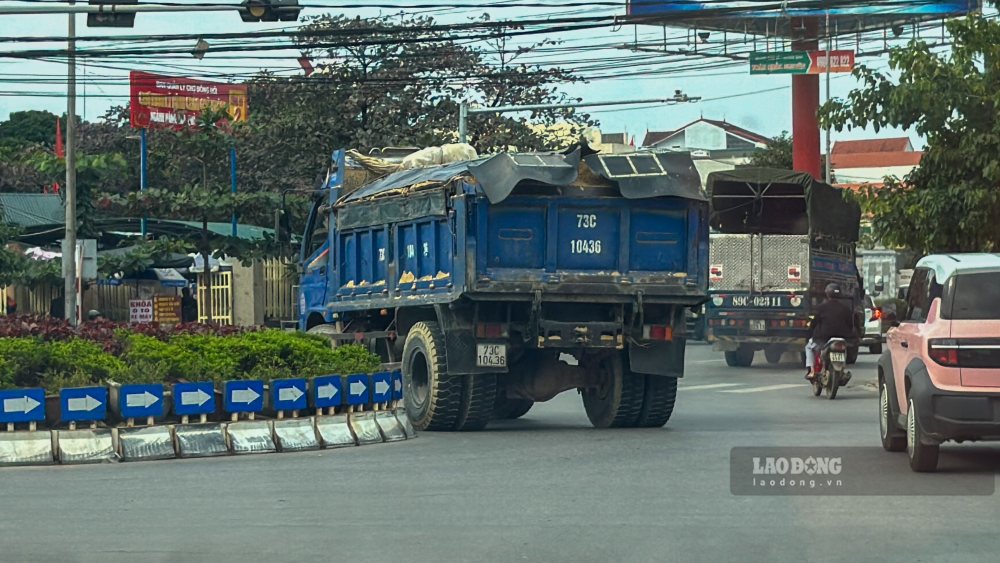 Cat duoc lay tu du an roi cho do vao nha dan. Anh: Cong Sang