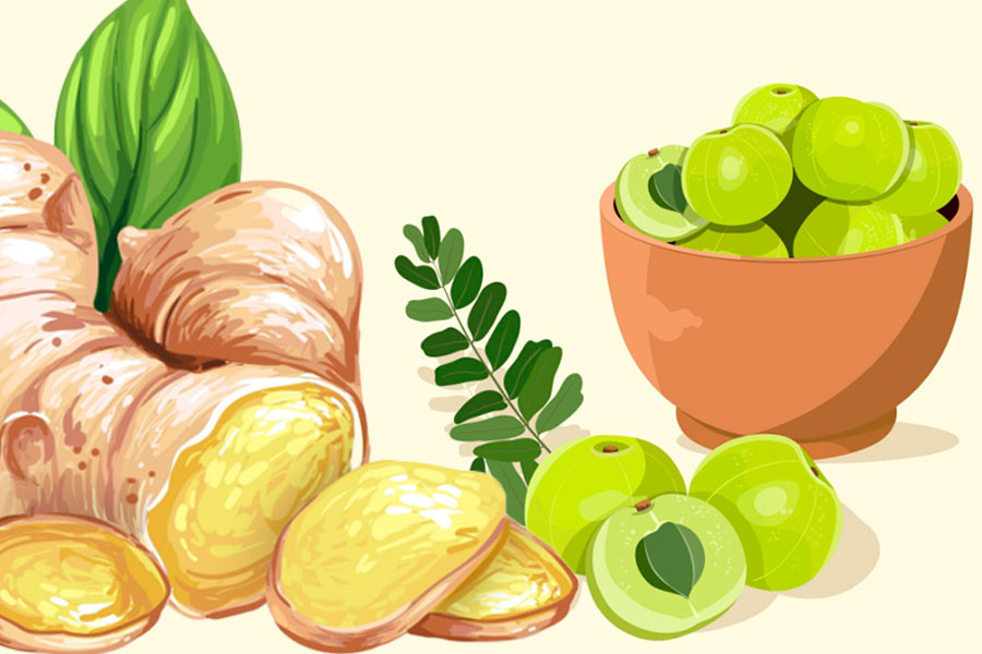 Experts show how to use ly gai and fresh turmeric properly in winter. Graphics: Thien Nhan